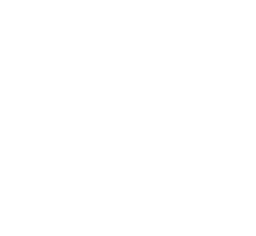 SIF-1-1
